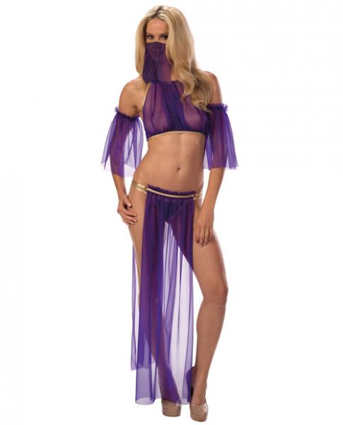 Sexy Belly Dancer Skirt & Panty Purple/Gold O/S